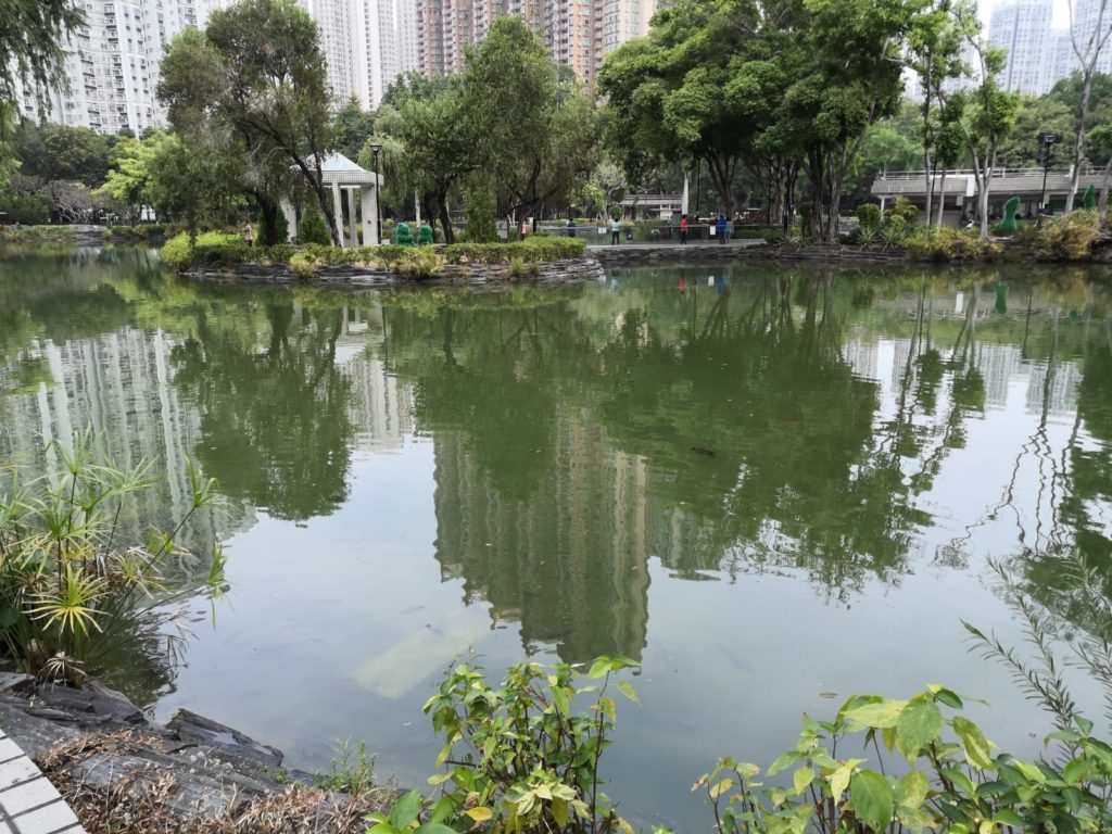 artificial pond tin shui wai part2