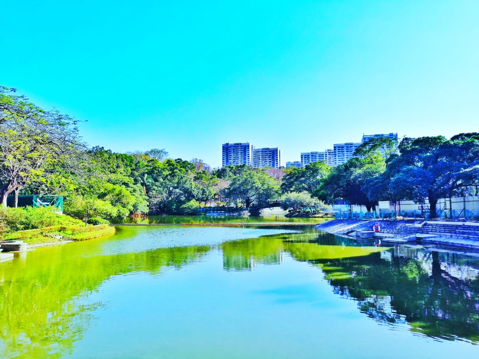 Tuen Mun Artificial Lake at Tuen Mun Park