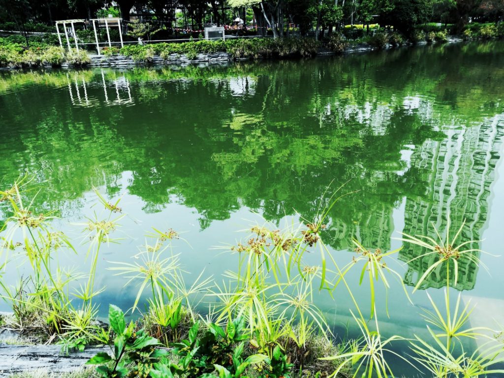 Artificial Man-made pond