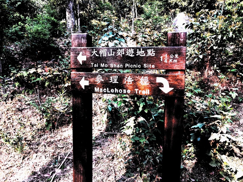 Tai Mo Shan Picnic site