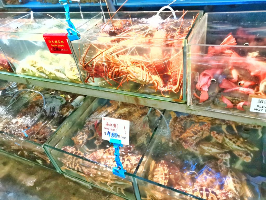Seafood at Sok Kwu Wan