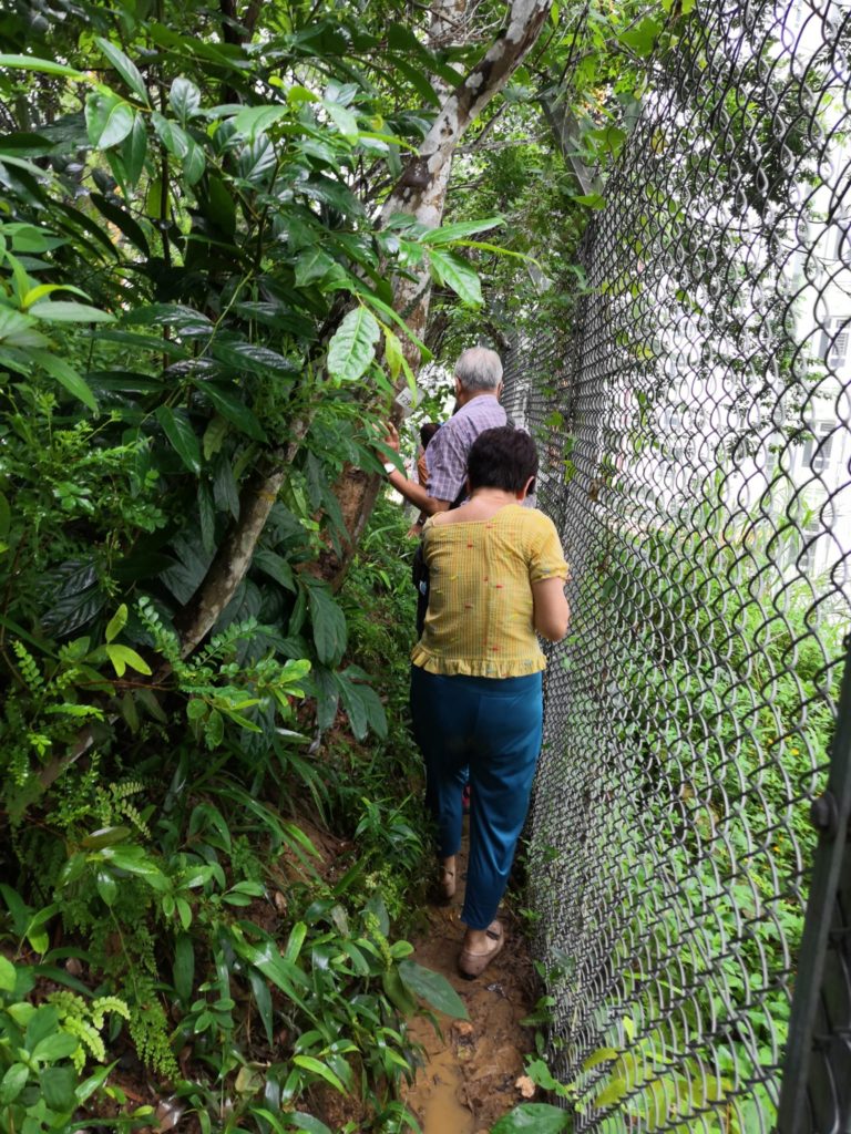 Pathway to Hindu Temple Burma lines