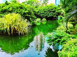 Bird-park-in-Kowloon-park-scaled