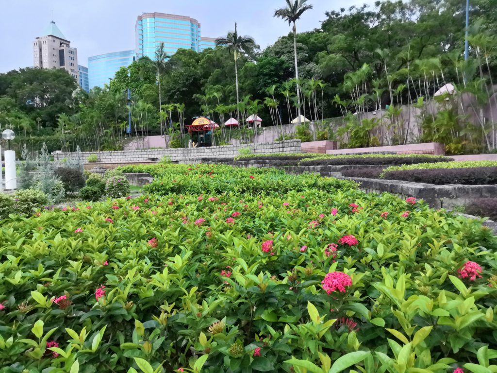 Kowloon Park area 