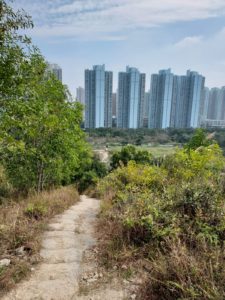 Tin Shui Wai Skyscrapers from Tin Shui Wai Hill