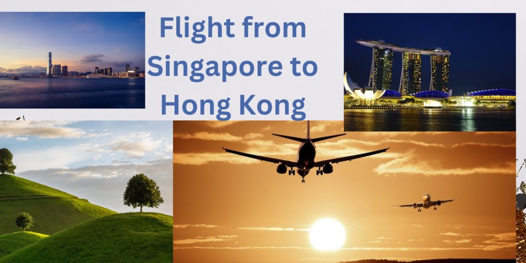 Flight to Singapore from Hong Kong