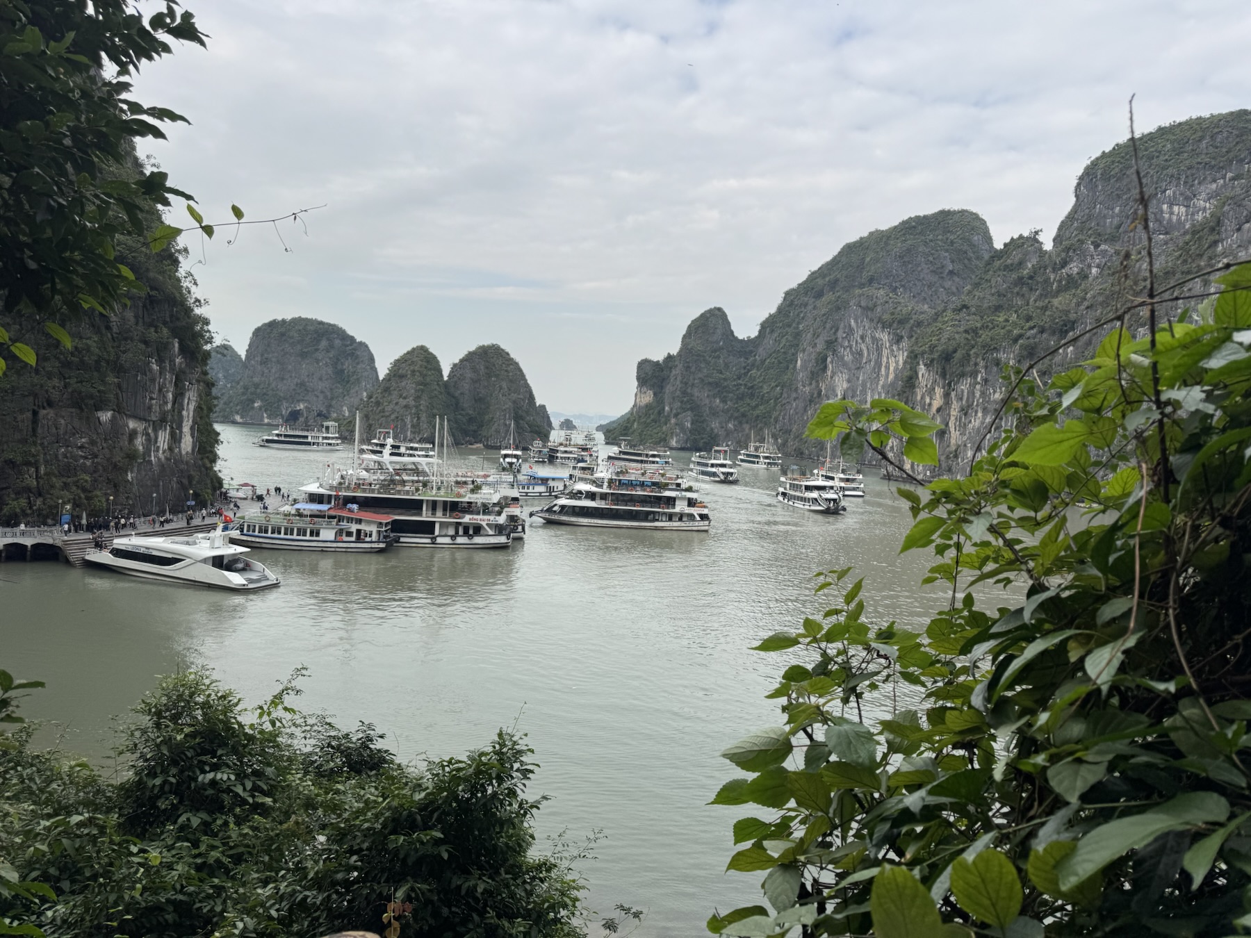 A Cruise Through Paradise: My Unforgettable Journey to Ha Long Bay