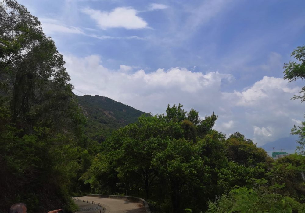 Maclehose trail views