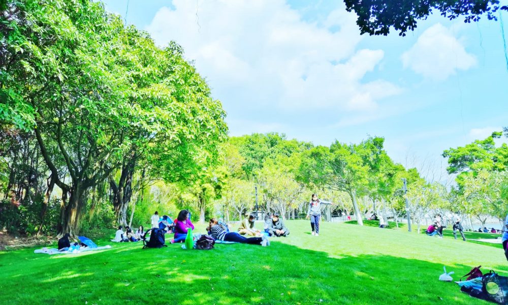 Tai Po Park